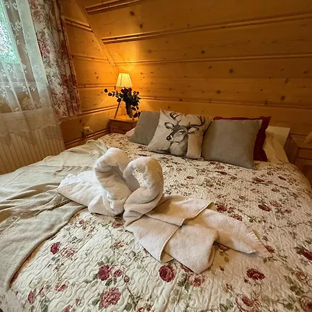 W Bialce Pod Basenami, 50 M Od Term I Wyciagow Apartman Białka Tatrzańska